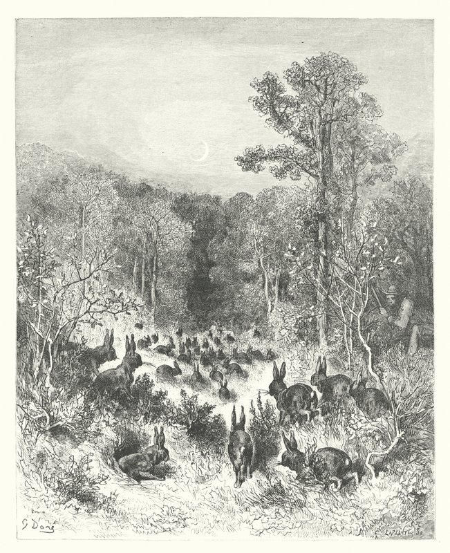 The Fables of La Fontaine: The Rabbits by Gustave Dore