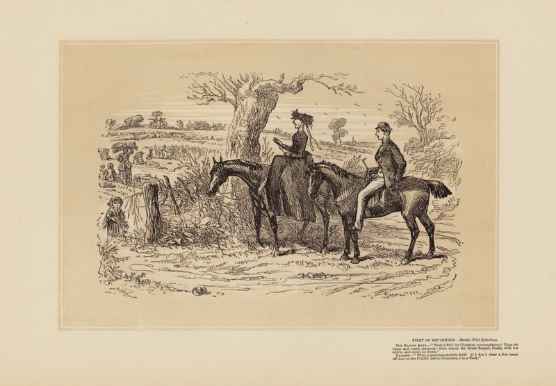A very fine Field for Reflection by Hablot Knight (1815 92) Browne