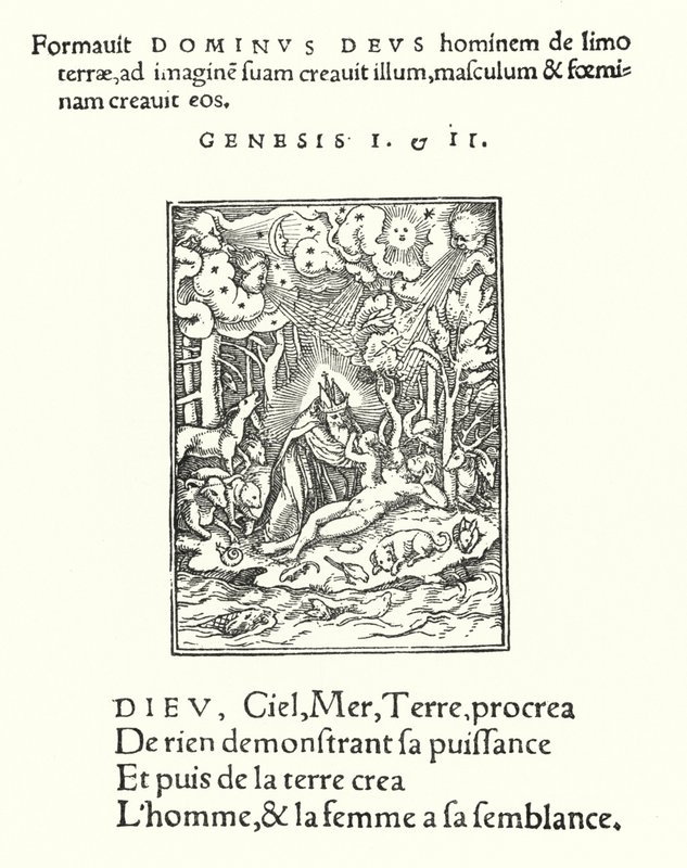 The Creation (engraving) by Hans (after) Holbein the Younger