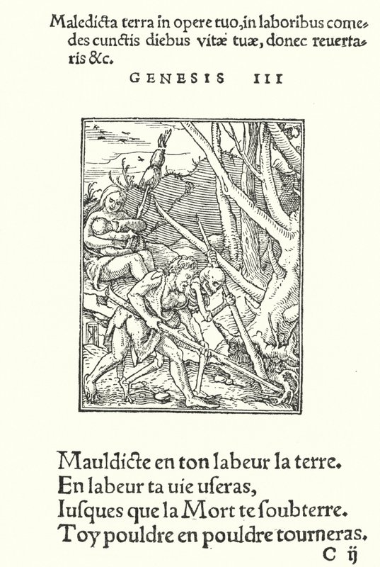The Curse upon Earth and on Man by Hans (after) Holbein the Younger