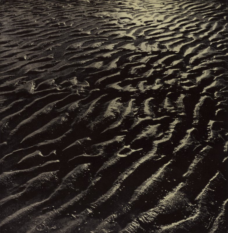 ... the ribbed sea-sand, Coleridge by Harold Burdekin