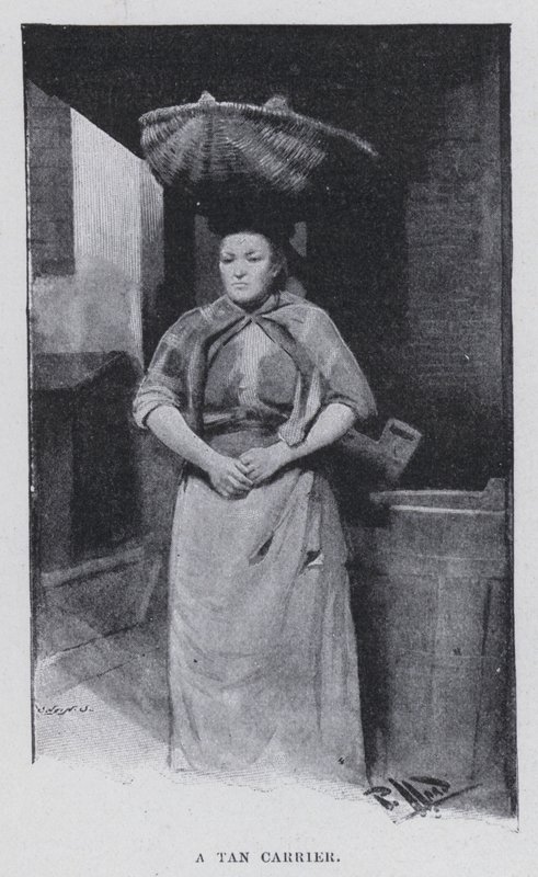 A tan carrier by Harold Hume Piffard