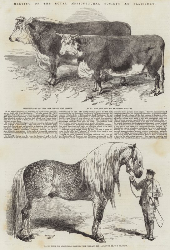 Meeting of the Royal Agricultural Society at Salisbury by Harrison William Weir