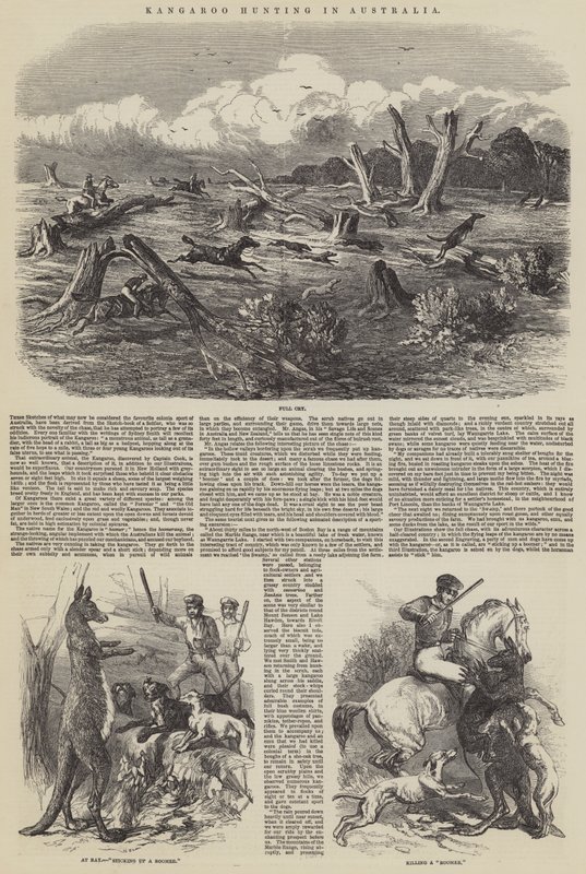 Kangaroo Hunting in Australia by Harrison William Weir