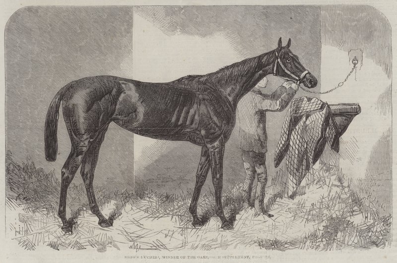 Brown Duchess, Winner of the Oaks by Harry Hall