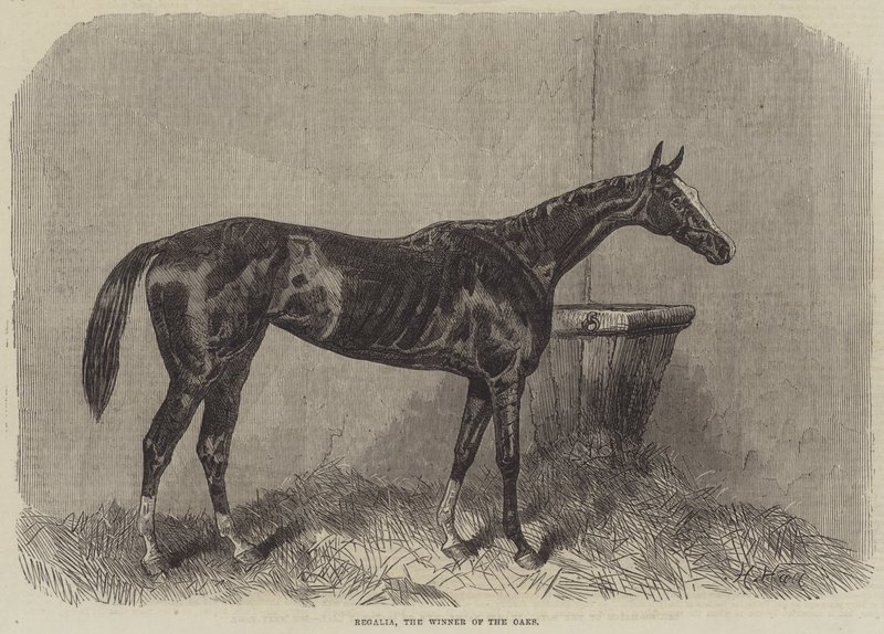 Regalia, the Winner of the Oaks by Harry Hall