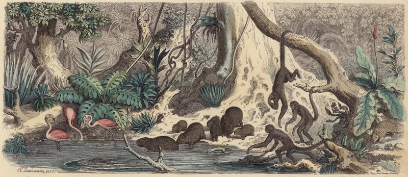 Riverbank in Guiana by Heinrich Leutemann