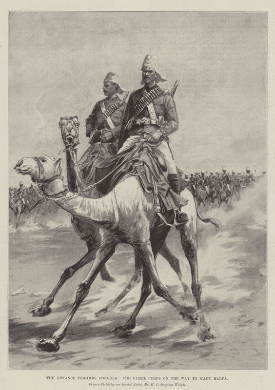 The Advance towards Dongola, the Camel Corps on the Way to Wady Halfa by Henry Charles Seppings Wright