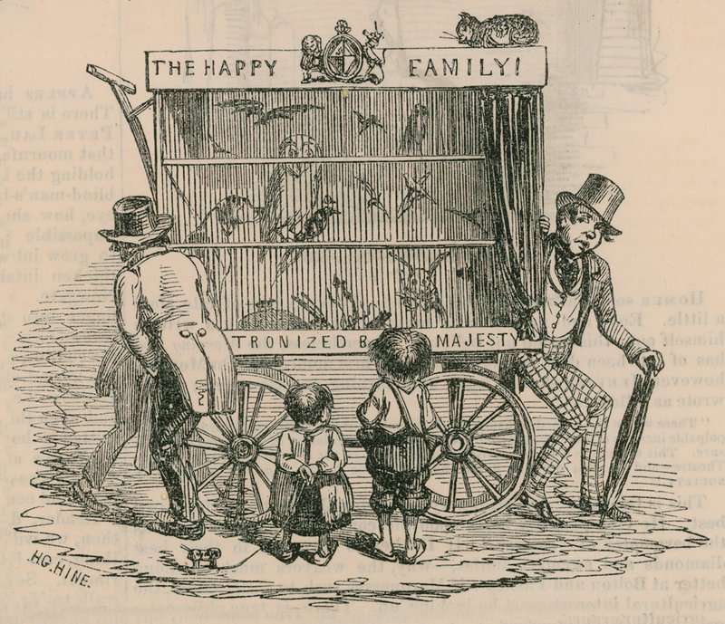 A Street Entertainer with an Aviary by Henry George Hine