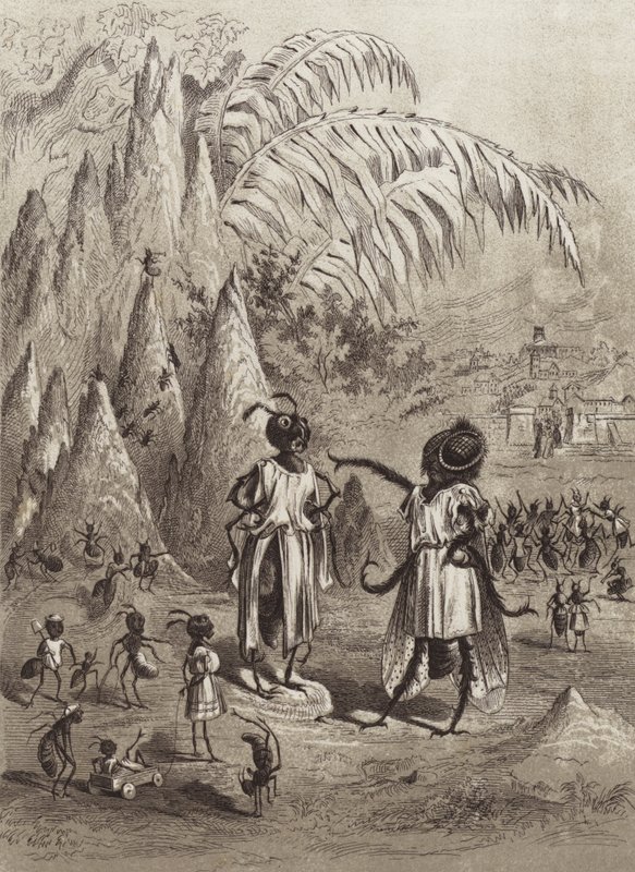 The Fables of Aesop: The Ant and the Fly by Henry Louis Stephens