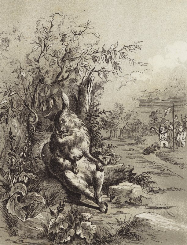 The Fables of Aesop: The Hare and the Tortoise by Henry Louis Stephens