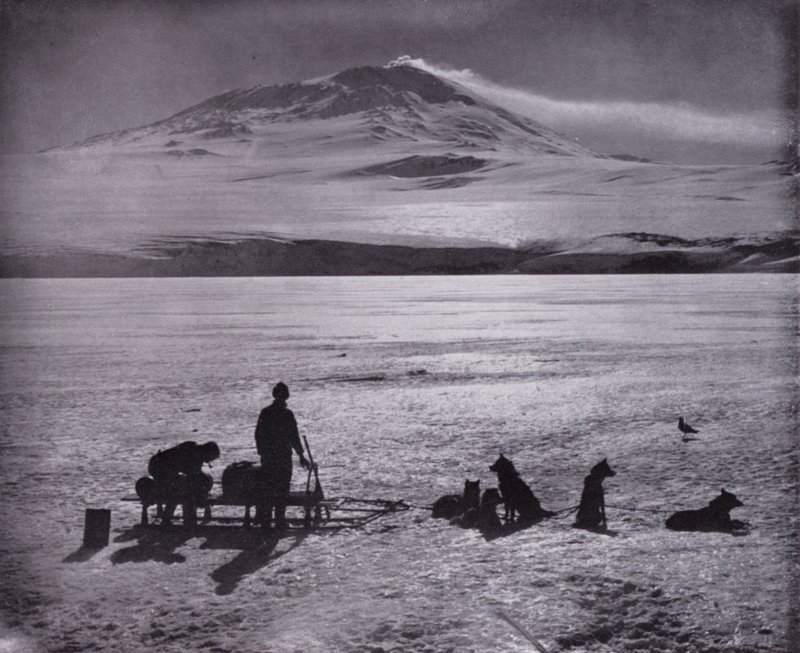 Sledge and dogs, with Mount Erebus in background by Herbert Ponting