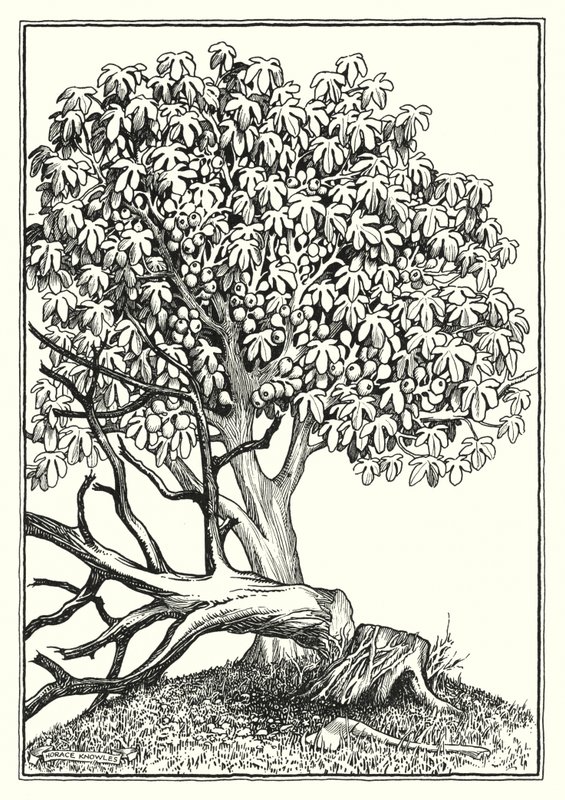 Illustration for The Sermon On The Mount by Horace J. Knowles