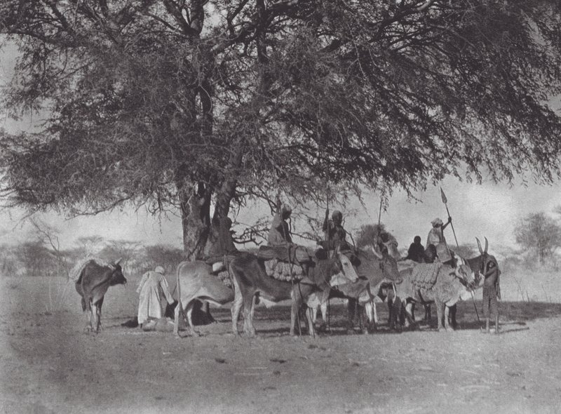 Africa: Caravan of ox-riders on the White Nile by Hugo Adolf Bernatzik