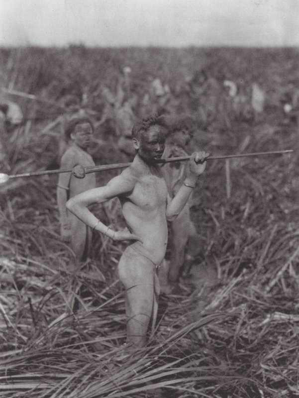 Africa: Nuer warriors in swamp by Hugo Adolf Bernatzik