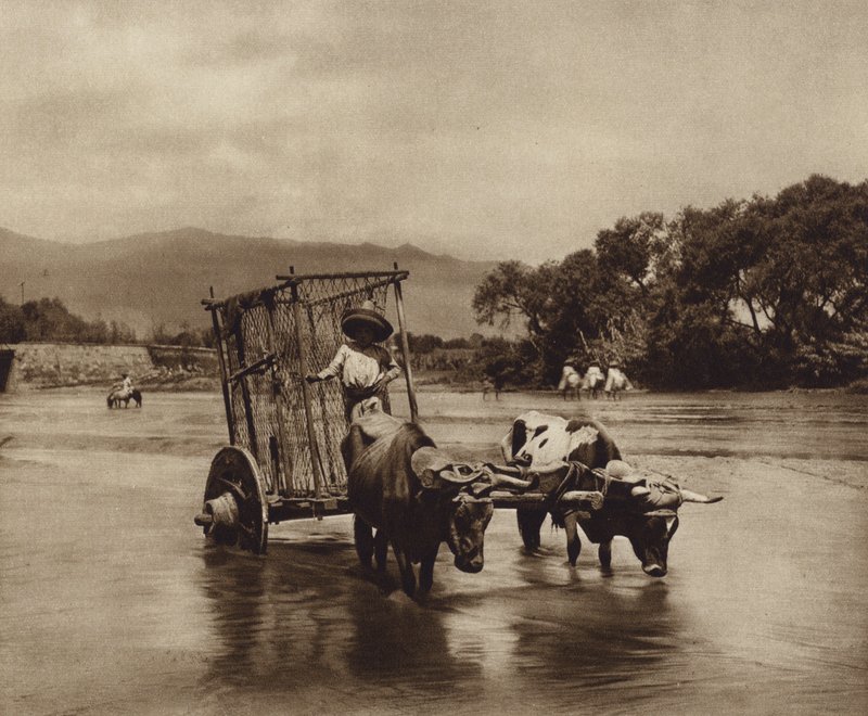 Mexico: Ox Cart with Disc-shaped Wheels by Hugo Brehme
