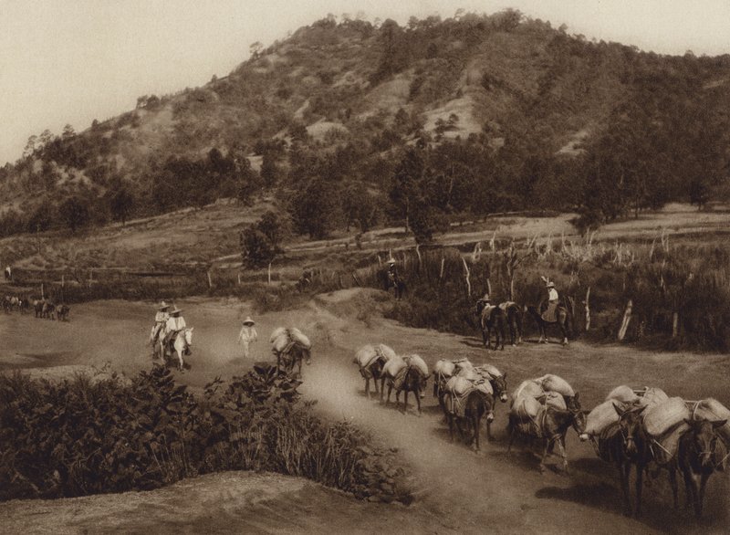Mexico: Transport column in the interior of the country by Hugo Brehme