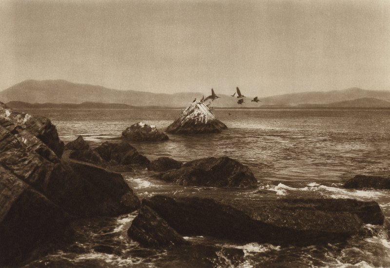Mexico: Coast of Manzanillo, Pelicans, Colima State by Hugo Brehme