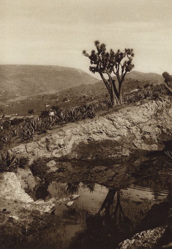 Mexico: Surroundings of Toluca by Hugo Brehme