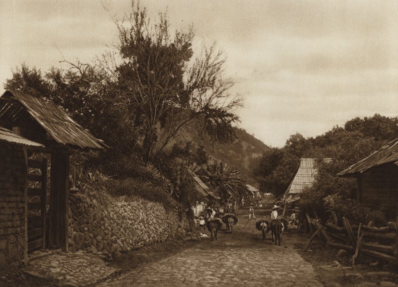 Mexico: Surroundings of Uruapam by Hugo Brehme