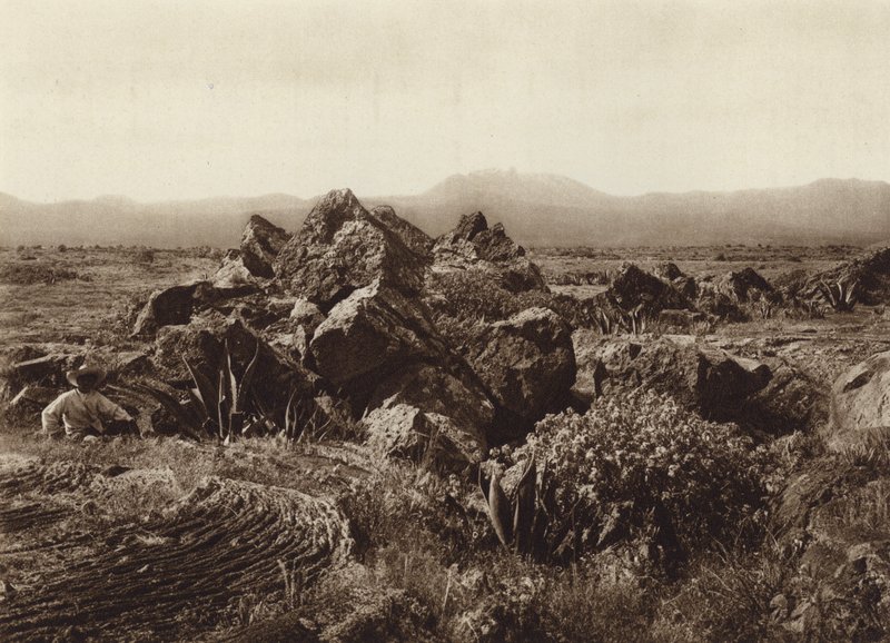 Mexico: Pedregal, Basalt-Lava Stream near San Angel by Hugo Brehme