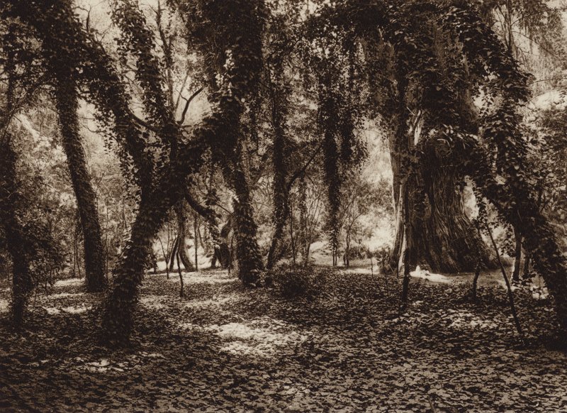 Mexico: Idyllic spot in Chapultepec park by Hugo Brehme