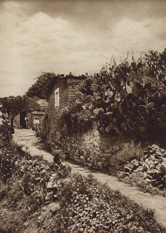 Mexico: Picturesque Corner in San Angel D.F. by Hugo Brehme