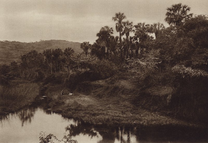 Mexico: Tamasopo, Palm landscape by Hugo Brehme