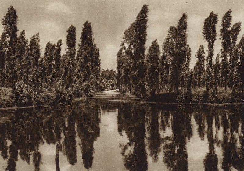 Mexico: Xochimilco with the so-called "Floating Gardens" by Hugo Brehme
