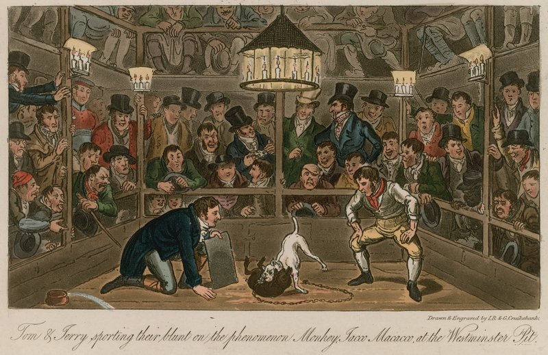 Tom and Jerry Sporting Their Blunt on the Phenomenon Monkey, Jacco Macacco, at the Westminster Pit by Isaac, Robert and George Cruikshank