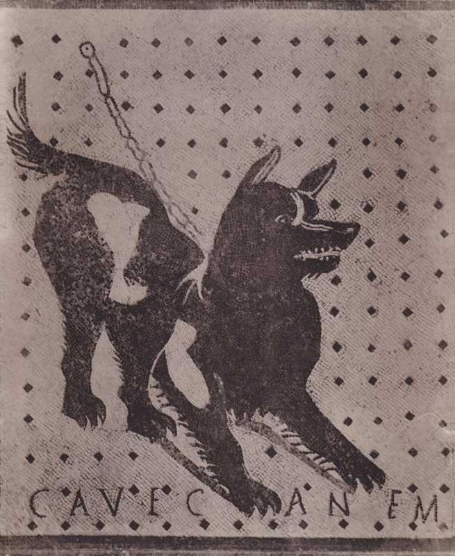Mosaic, Cave Canem by Italian Photographer