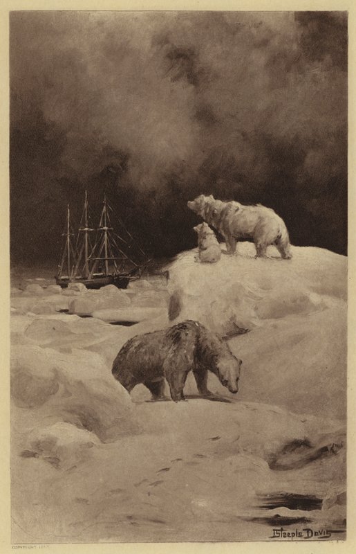 Peary in the Arctic Regions by J. (after) Steeple Davis