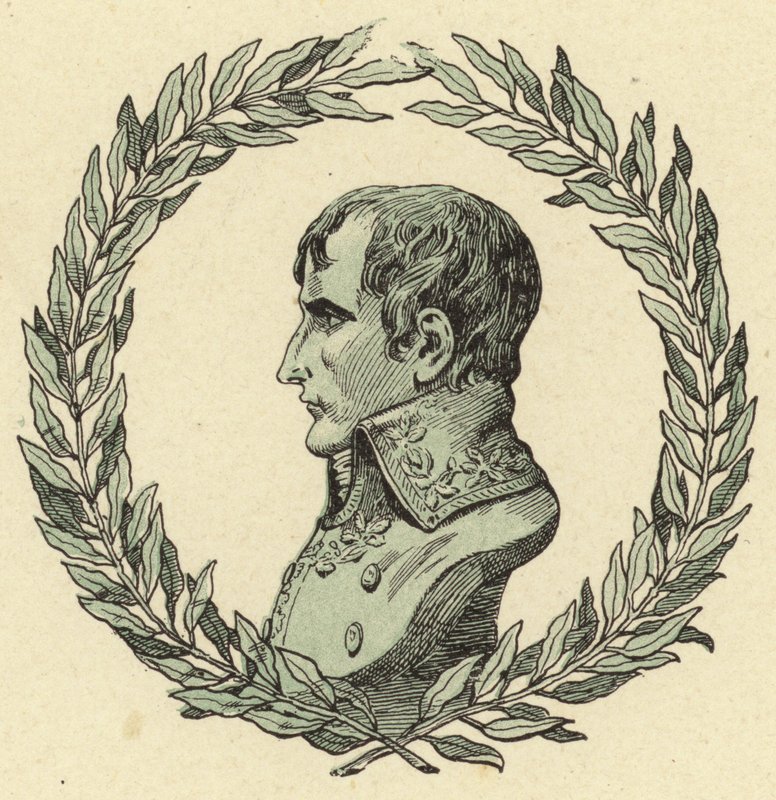 Bust of Napoleon Bonaparte by Jacques Marie Gaston Onfray de Breville (Job)