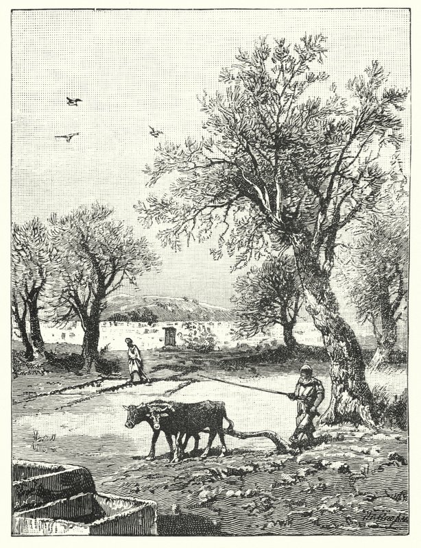 Plowing in a Vineyard by James (after) Clark