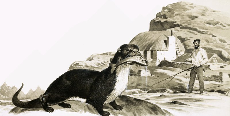 Otter with Fish, and Man Fishing by James Edwin McConnell