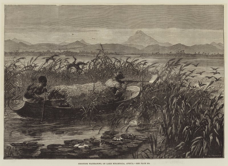 Shooting Water-Fowl on Lake Mirambala, Africa by Johann Nepomuk Schonberg