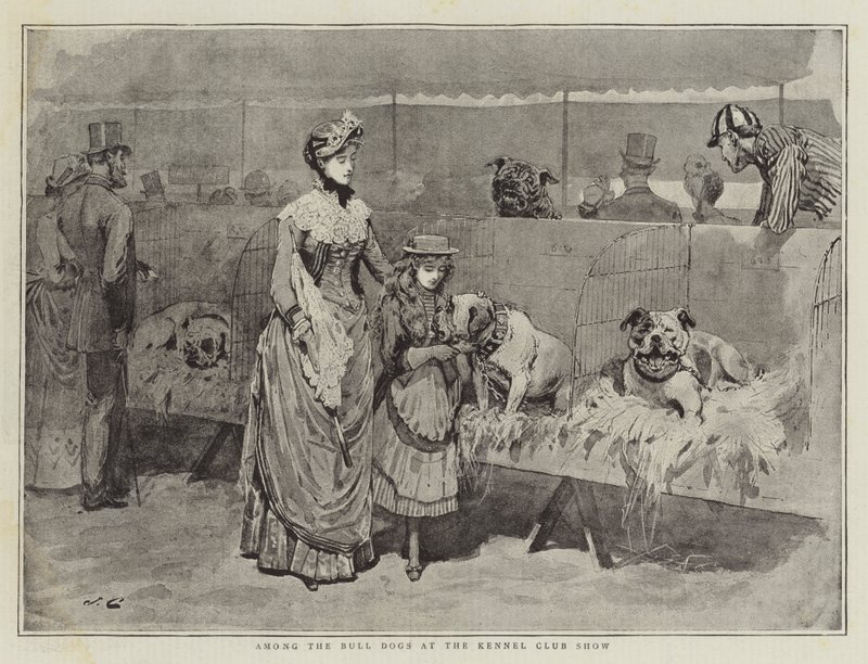 Among the Bull Dogs at the Kennel Club Show by John Charles Dollman