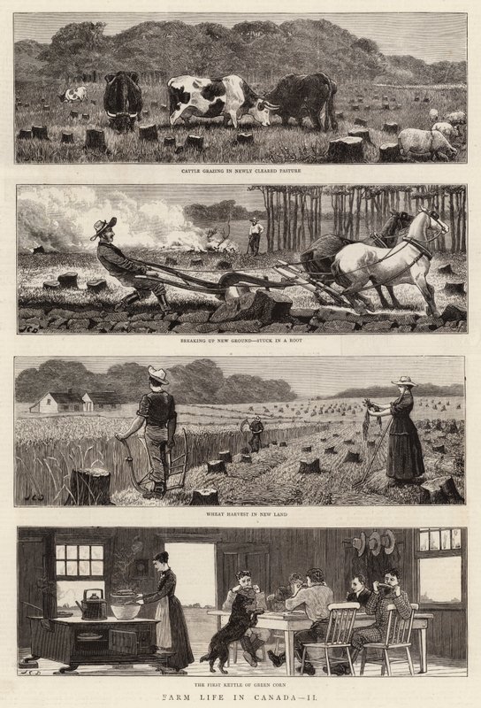 Farm Life in Canada, II by John Charles Dollman