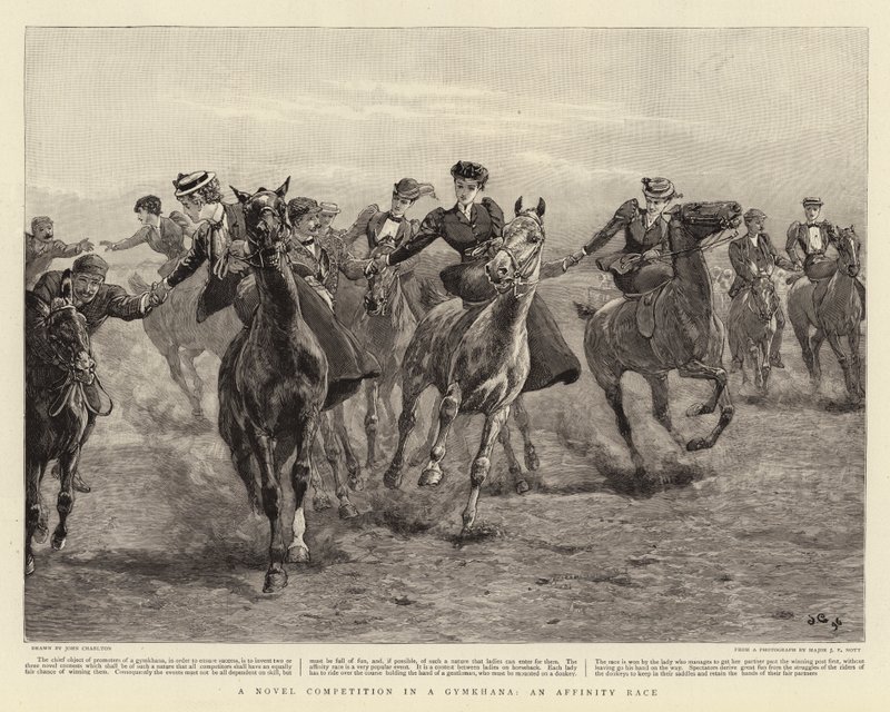 A Novel Competition in a Gymkhana, an Affinity Race by John Charlton
