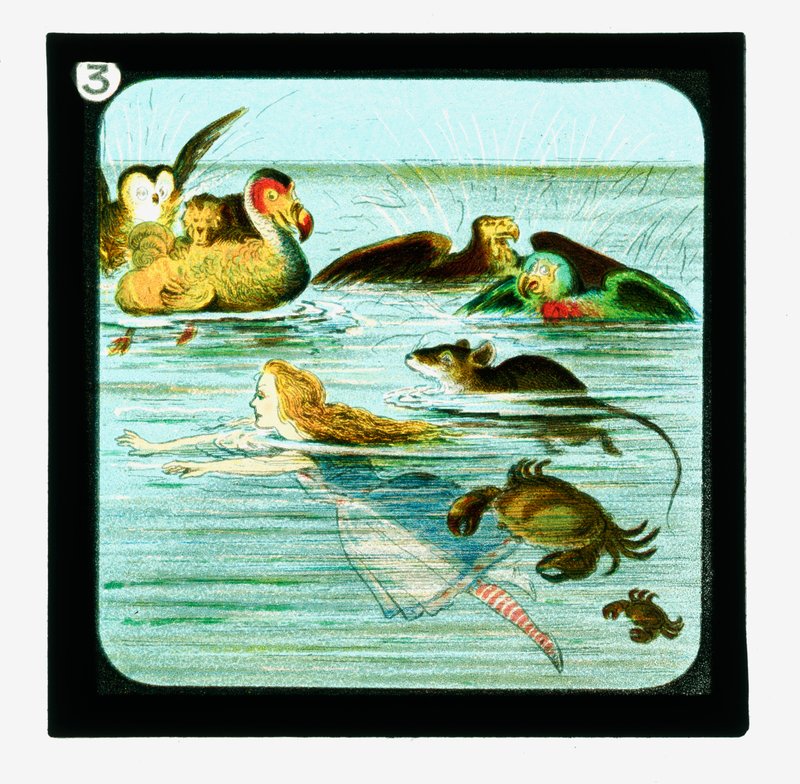 Alice in Wonderland, Coloured Lantern Slides by John (after) Tenniel