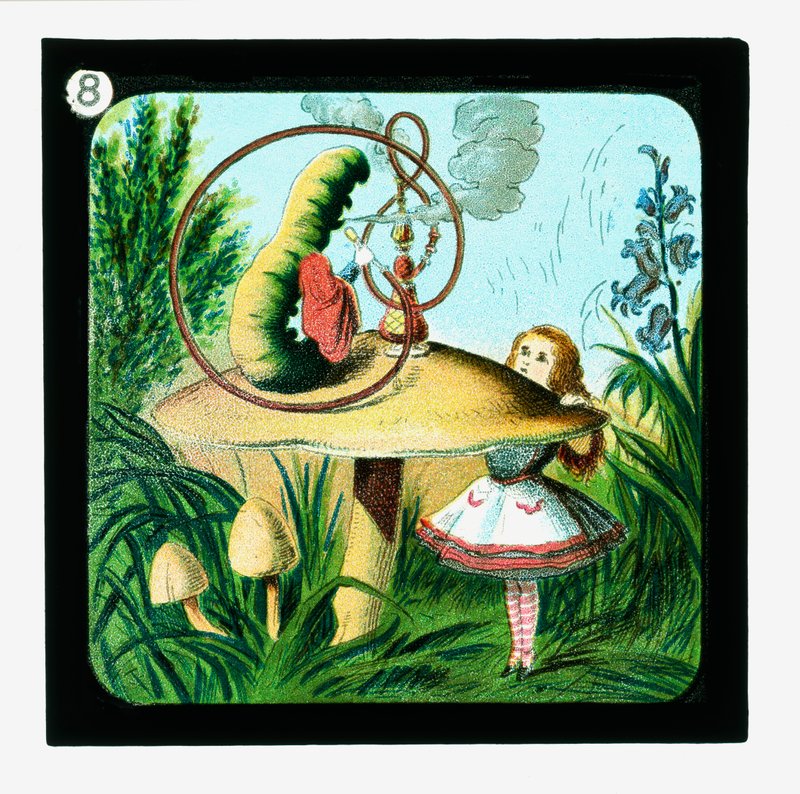 Alice in Wonderland, Coloured Lantern Slides by John (after) Tenniel