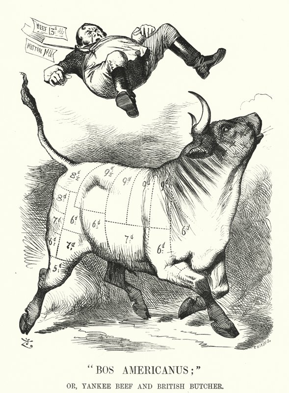 Punch Cartoon: Bos Americanus; or, Yankee Beef and British Butcher - Expected Benefits to Consumers of Importing American Meat by John (after) Tenniel