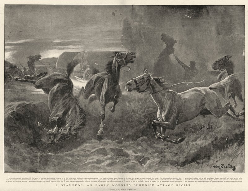 A Stampede, an Early Morning Surprise Attack spoilt by John Charlton