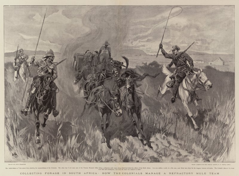 Collecting Forage in South Africa, how the Colonials manage a Refractory Mule Team by John Charlton