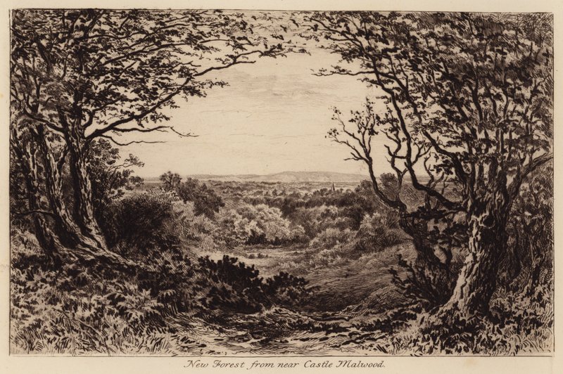 New Forest from near Castle Malwood by John Fullwood
