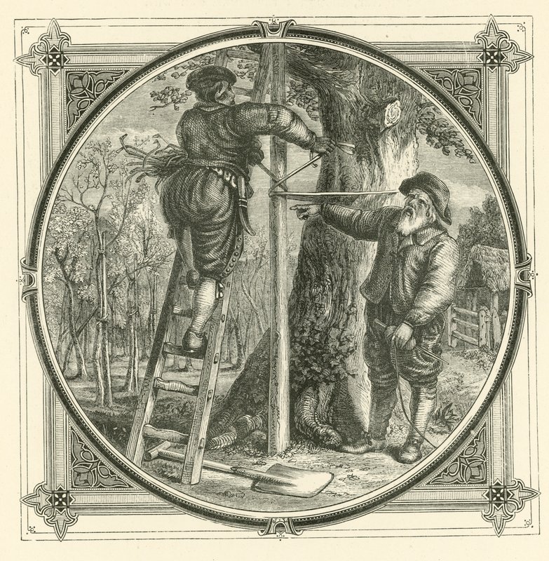 The branches may be trained, but not the trunk by John Leighton