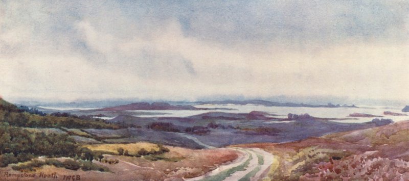 Poole Harbour from Rempstone Heath by John W.G. Bond