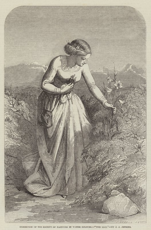 Exhibition of the Society of Painters in Water Colours, The Lily by Joseph John Jenkins