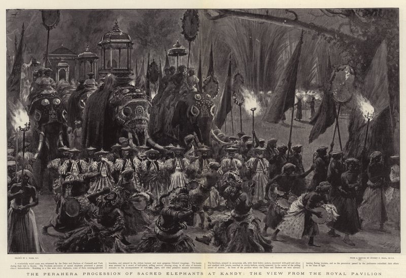 The Perahera Procession of Sacred Elephants at Kandy, the View from the Royal Pavilion by Joseph Nash