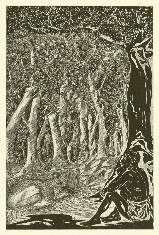 The Leopard and the Ethiopian by Joseph Rudyard (after) Kipling